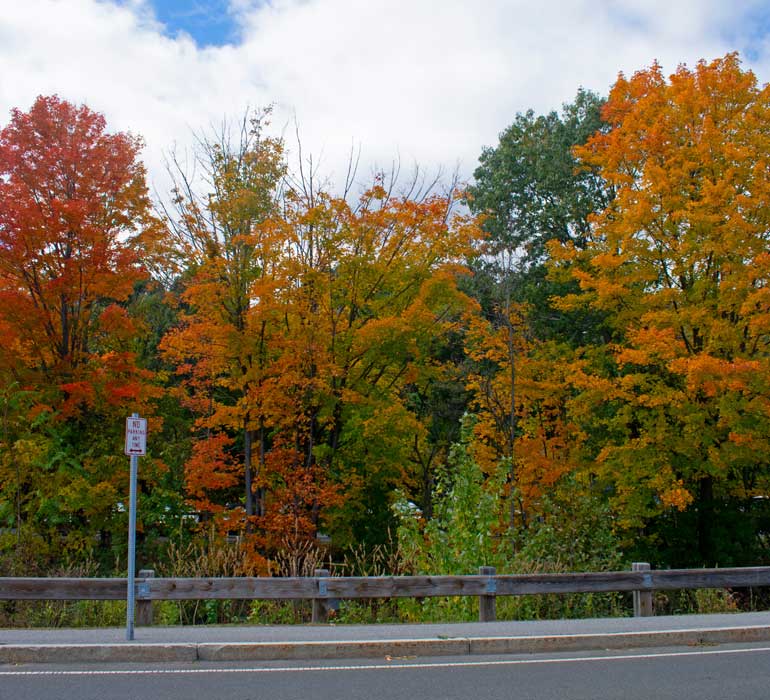 Arlington real estate