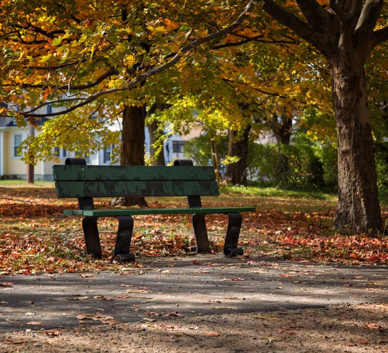 Watertown real estate